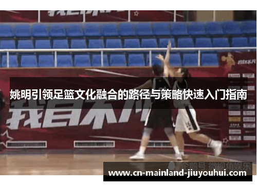 姚明引领足篮文化融合的路径与策略快速入门指南