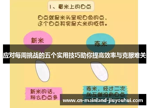 应对每周挑战的五个实用技巧助你提高效率与克服难关 应对每周挑战的五个实用技巧助你提高效率与克服难关