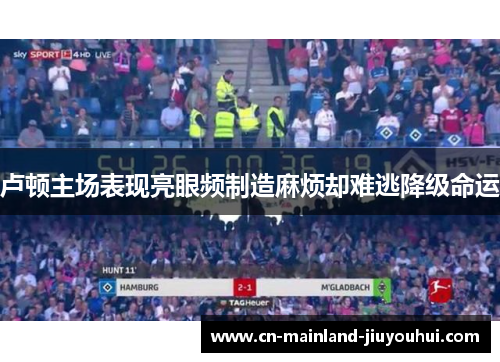 卢顿主场表现亮眼频制造麻烦却难逃降级命运 卢顿主场表现亮眼频制造麻烦却难逃降级命运