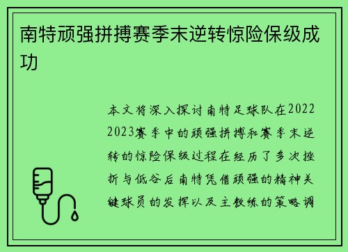 南特顽强拼搏赛季末逆转惊险保级成功 南特顽强拼搏赛季末逆转惊险保级成功