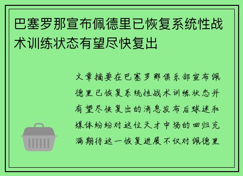 巴塞罗那宣布佩德里已恢复系统性战术训练状态有望尽快复出 巴塞罗那宣布佩德里已恢复系统性战术训练状态有望尽快复出