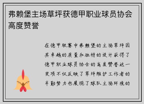 弗赖堡主场草坪获德甲职业球员协会高度赞誉